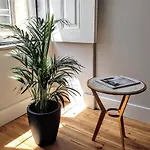 Comfort In The Center Of