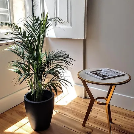 Comfort In The Center Of